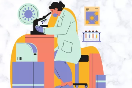 Impact de la loi de finances 2025 sur le statut jeune docteur dans le cadre des CIR